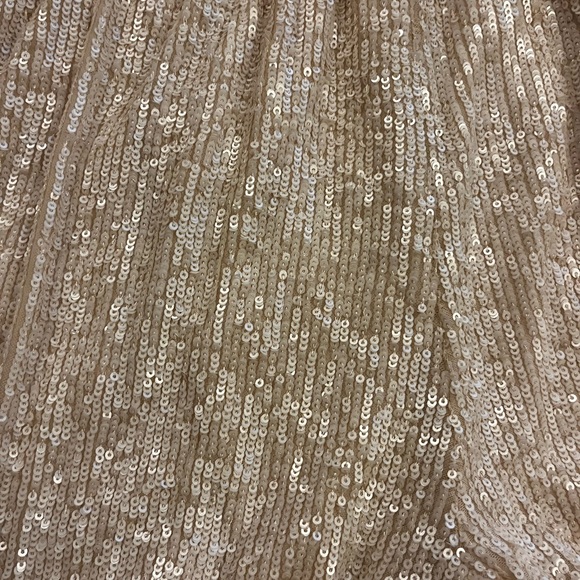 Sequin shorts NWOT - Picture 4 of 5